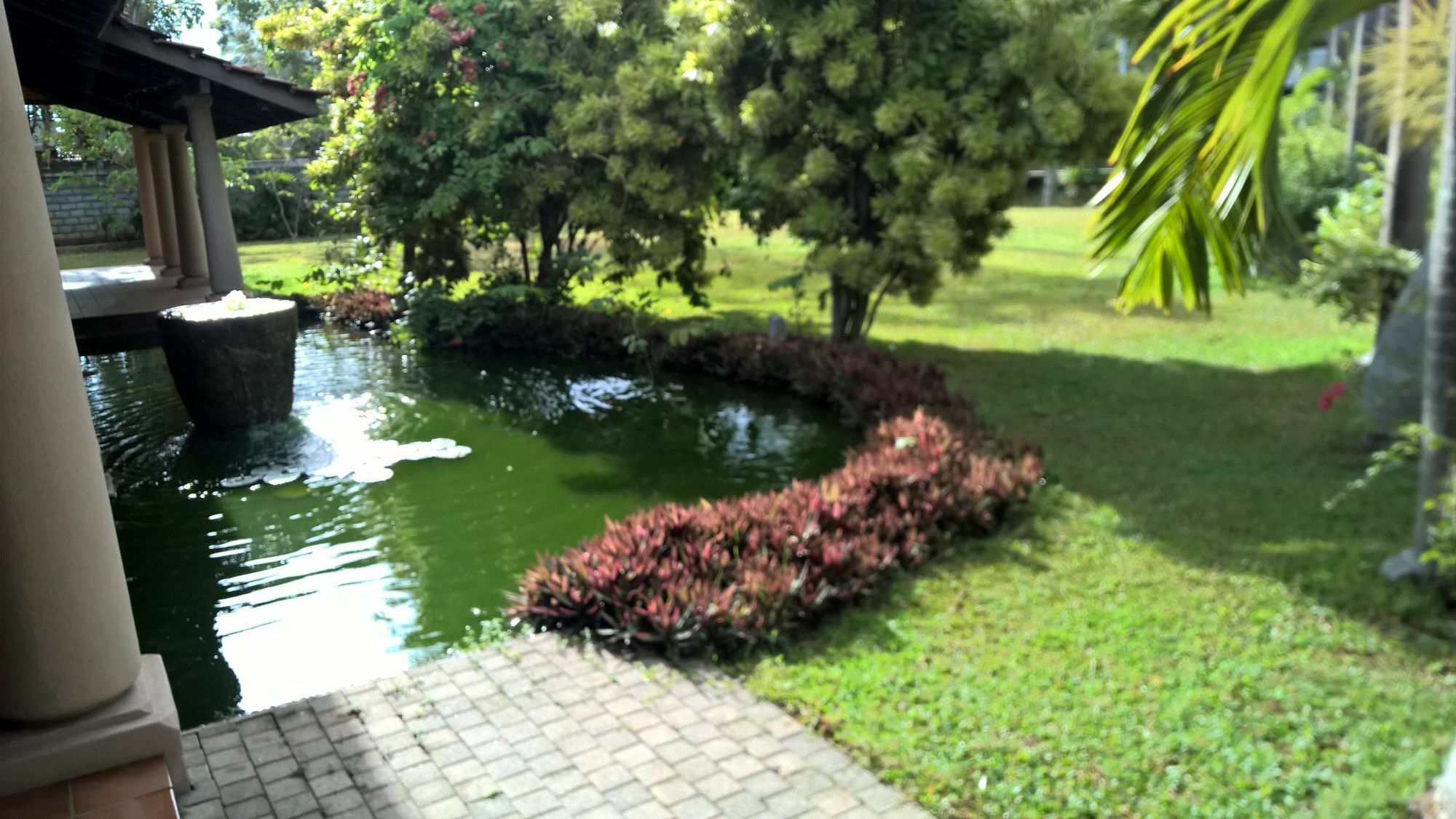 Tropical Villas เนกอมโบ ภายนอก รูปภาพ