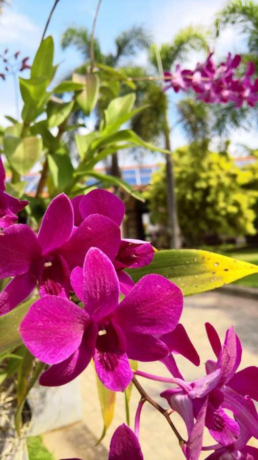 Tropical Villas เนกอมโบ ภายนอก รูปภาพ